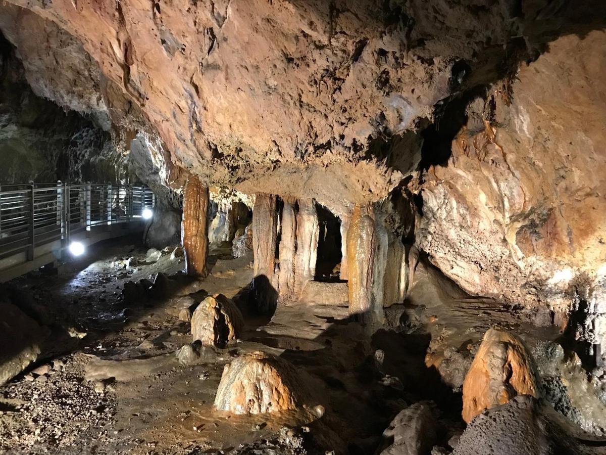 Montesanto 116 Lägenhet Cosenza Exteriör bild