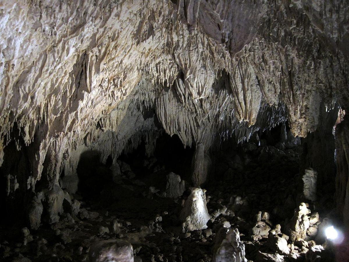 Montesanto 116 Lägenhet Cosenza Exteriör bild