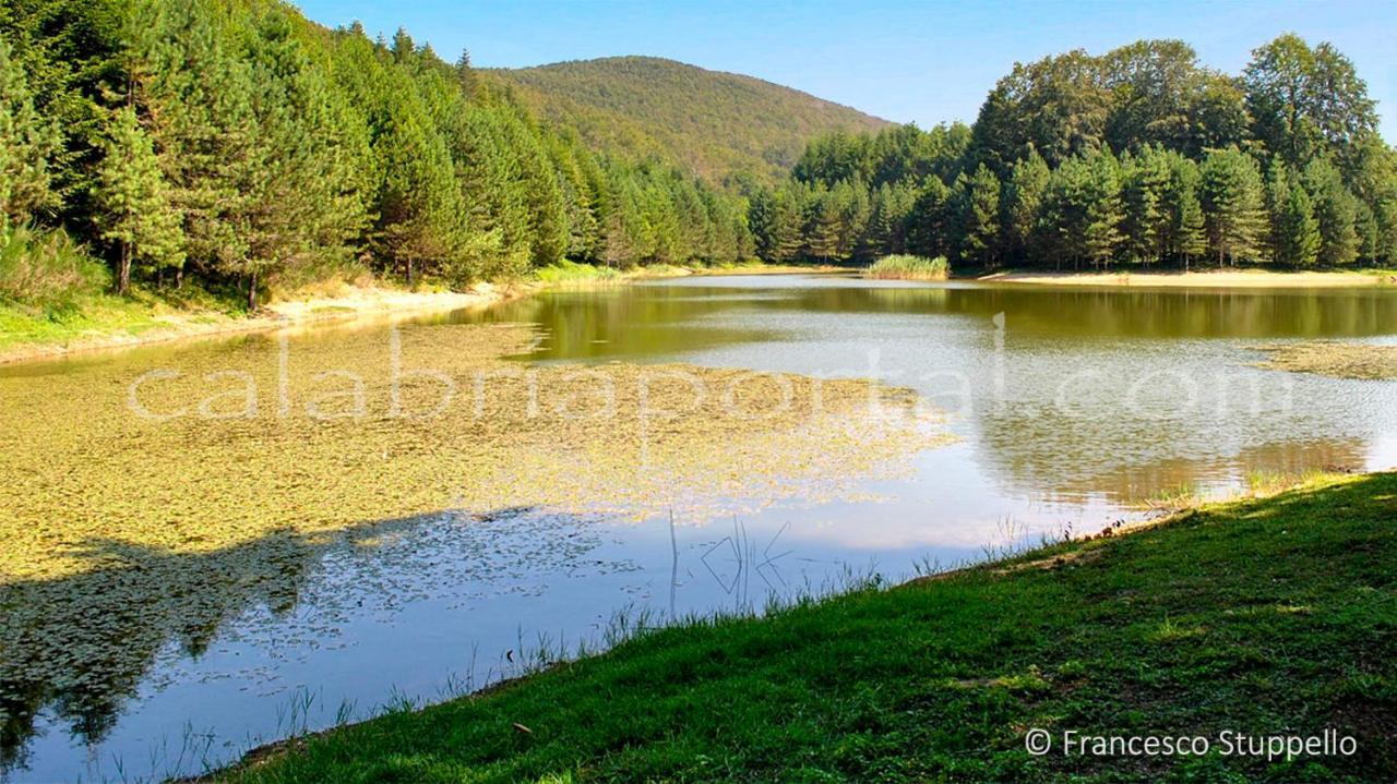 Montesanto 116 Lägenhet Cosenza Exteriör bild
