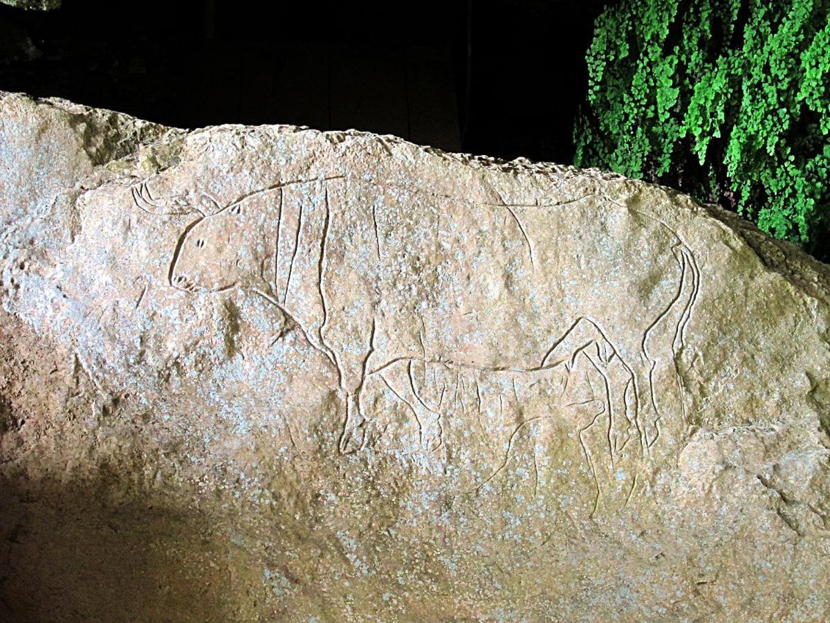 Montesanto 116 Lägenhet Cosenza Exteriör bild